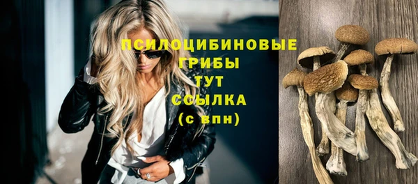 марки nbome Магадан