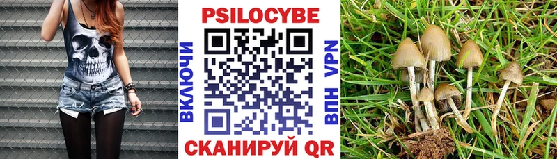 Псилоцибиновые грибы Cubensis  Норильск 