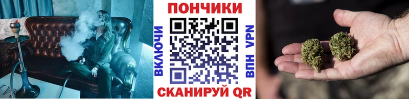 Бошки марихуана OG Kush  OMG ONION  Норильск 